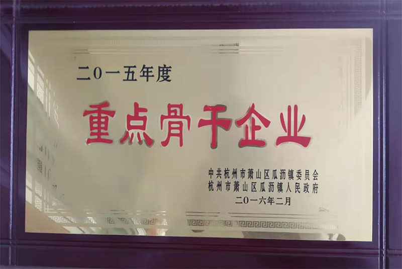 重點骨干企業(yè)